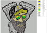 convert your logo to dst,pes,exp using wilcom embroidery